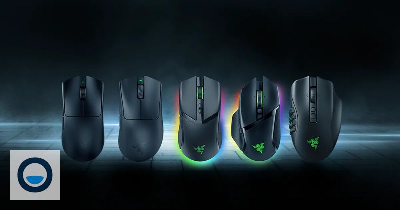 game mouse - Trên trình duyệt game mouse - Trên trình duyệt